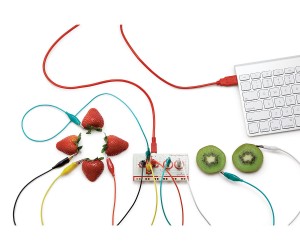 Makey makey