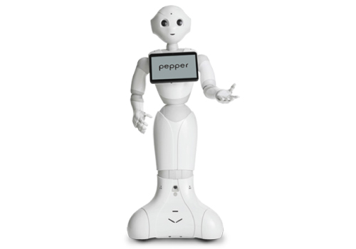 Pepper-Robot