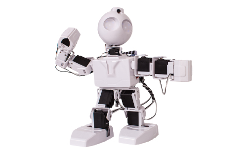 DIY Humanoid Robot