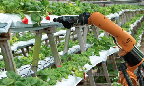 Smart Farming AI Station